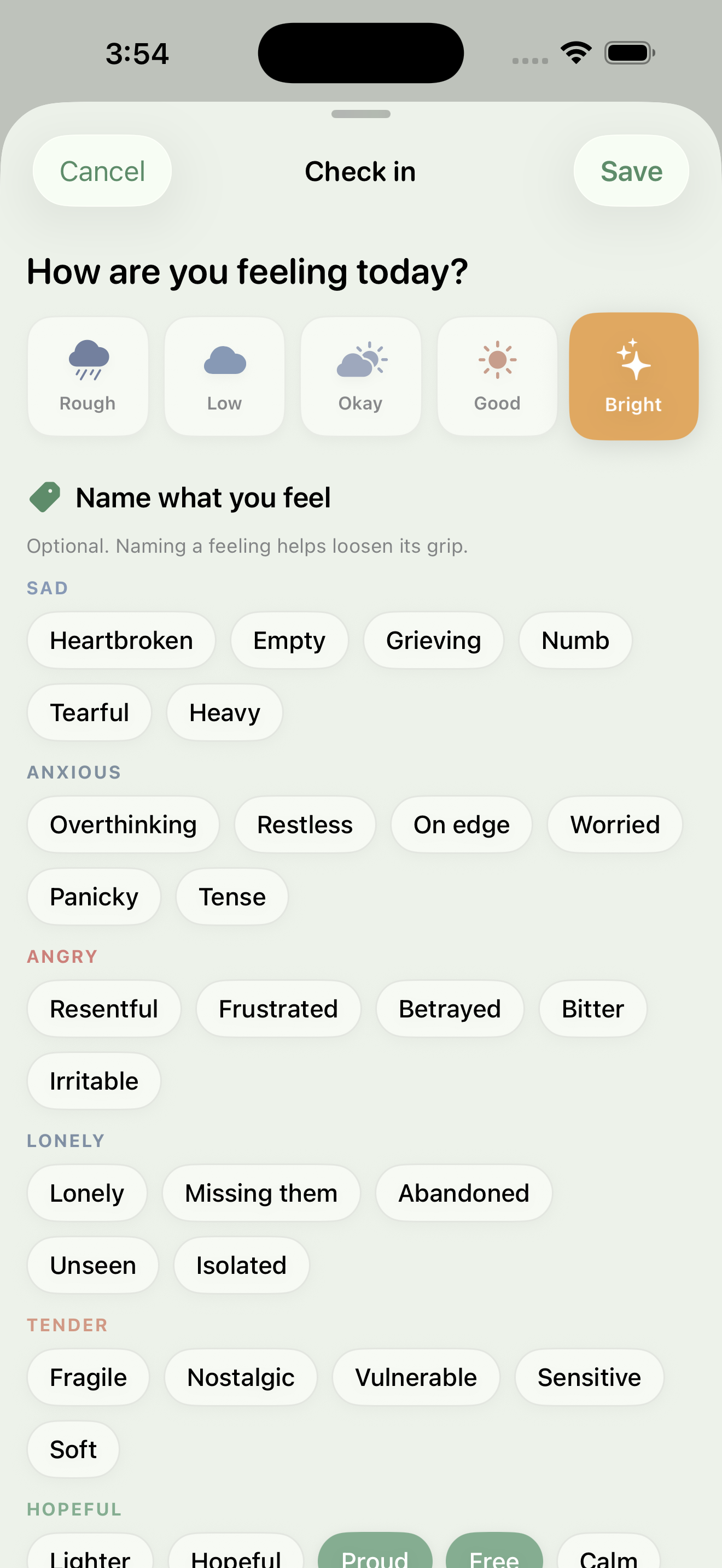 Daily check-in